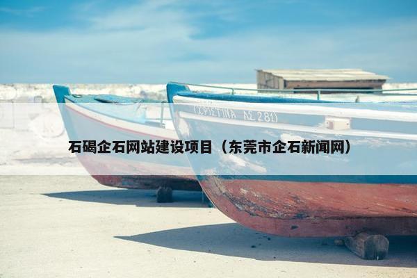 石碣企石网站建设项目（东莞市企石新闻网）-第1张图片-冷动云