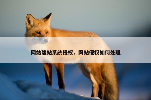 网站建站系统侵权，网站侵权如何处理-第1张图片-冷动云