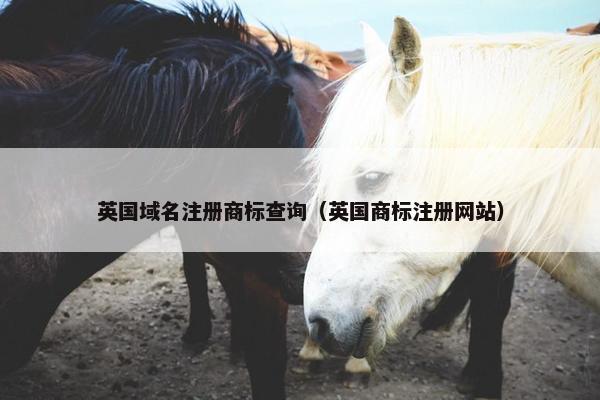 英国域名注册商标查询（英国商标注册网站）-第1张图片-冷动云