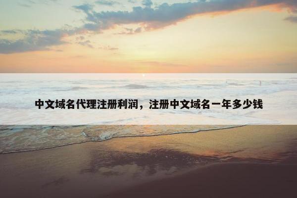 中文域名代理注册利润，注册中文域名一年多少钱-第1张图片-冷动云