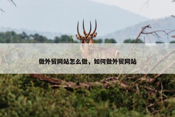 做外贸网站怎么做，如何做外贸网站-第1张图片-冷动云