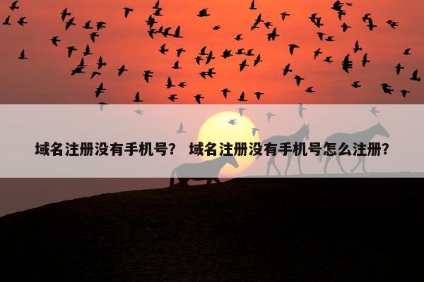域名注册没有手机号？ 域名注册没有手机号怎么注册？-第1张图片-冷动云