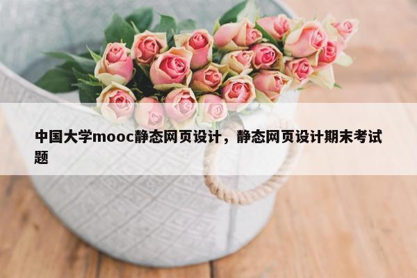 中国大学mooc静态网页设计，静态网页设计期末考试题-第1张图片-冷动云