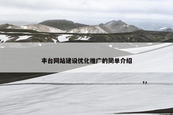 丰台网站建设优化推广的简单介绍-第1张图片-冷动云