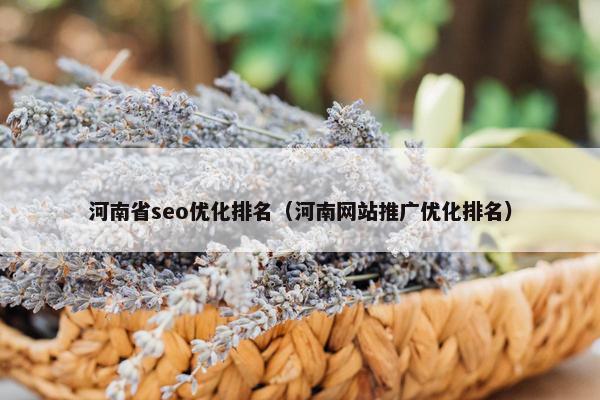 河南省seo优化排名（河南网站推广优化排名）-第1张图片-冷动云