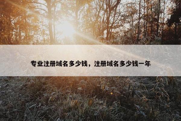 专业注册域名多少钱，注册域名多少钱一年-第1张图片-冷动云