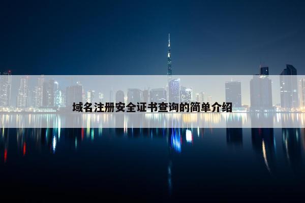 域名注册安全证书查询的简单介绍-第1张图片-冷动云
