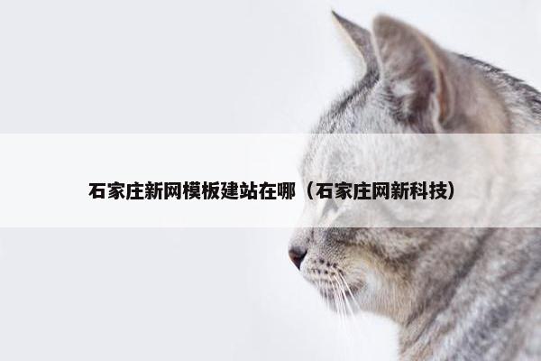 石家庄新网模板建站在哪（石家庄网新科技）-第1张图片-冷动云