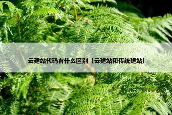 云建站代码有什么区别（云建站和传统建站）-第1张图片-冷动云