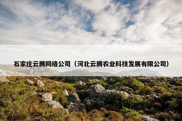 石家庄云腾网络公司（河北云腾农业科技发展有限公司）-第1张图片-冷动云