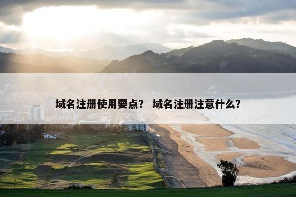 域名注册使用要点？ 域名注册注意什么？-第1张图片-冷动云