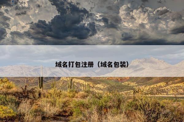 域名打包注册（域名包装）-第1张图片-冷动云