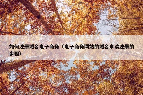 如何注册域名电子商务（电子商务网站的域名申请注册的步骤）-第1张图片-冷动云