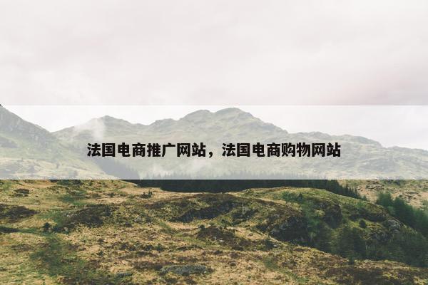 法国电商推广网站，法国电商购物网站-第1张图片-冷动云