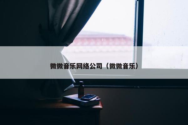 微微音乐网络公司（微微音乐）-第1张图片-冷动云