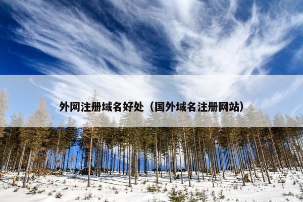 外网注册域名好处（国外域名注册网站）-第1张图片-冷动云