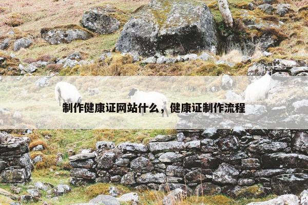 制作健康证网站什么，健康证制作流程-第1张图片-冷动云