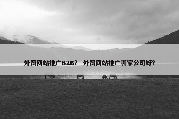 外贸网站推广B2B？ 外贸网站推广哪家公司好？-第1张图片-冷动云