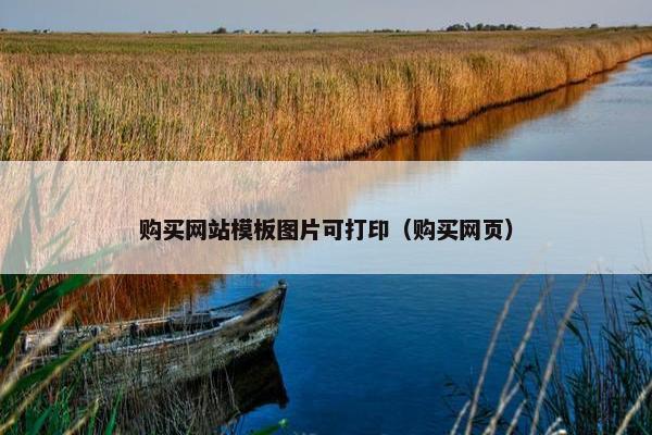 购买网站模板图片可打印（购买网页）-第1张图片-冷动云