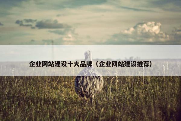 企业网站建设十大品牌（企业网站建设推荐）-第1张图片-冷动云