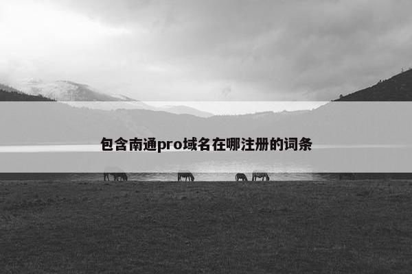 包含南通pro域名在哪注册的词条-第1张图片-冷动云