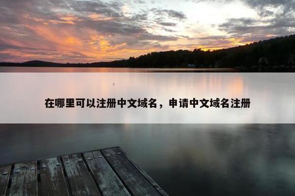 在哪里可以注册中文域名，申请中文域名注册-第1张图片-冷动云