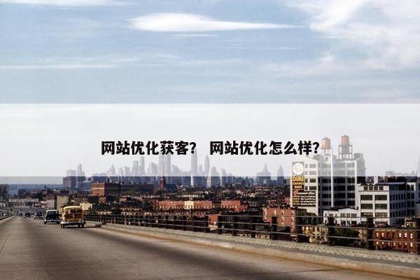 网站优化获客？ 网站优化怎么样？-第1张图片-冷动云