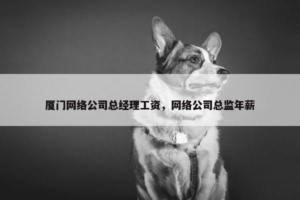 厦门网络公司总经理工资，网络公司总监年薪-第1张图片-冷动云