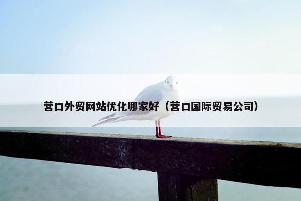 营口外贸网站优化哪家好（营口国际贸易公司）-第1张图片-冷动云