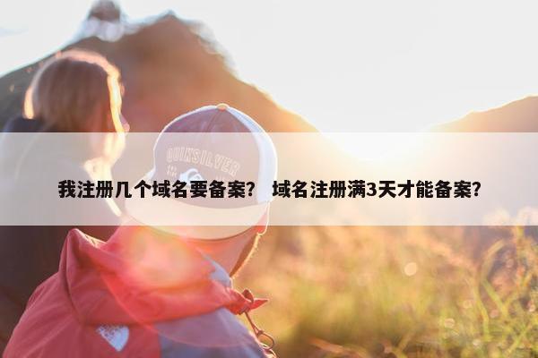 我注册几个域名要备案？ 域名注册满3天才能备案？-第1张图片-冷动云