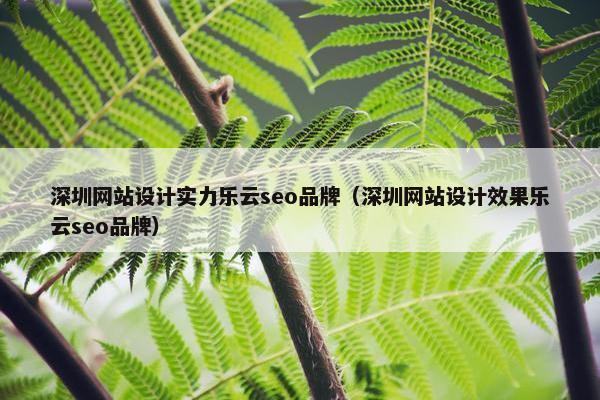 深圳网站设计实力乐云seo品牌（深圳网站设计效果乐云seo品牌）-第1张图片-冷动云