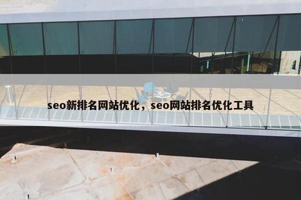 seo新排名网站优化，seo网站排名优化工具-第1张图片-冷动云