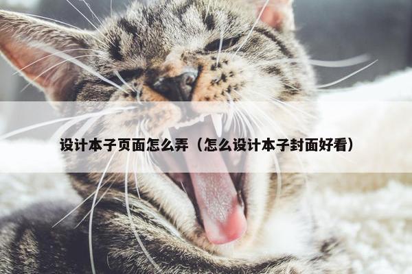 设计本子页面怎么弄（怎么设计本子封面好看）-第1张图片-冷动云