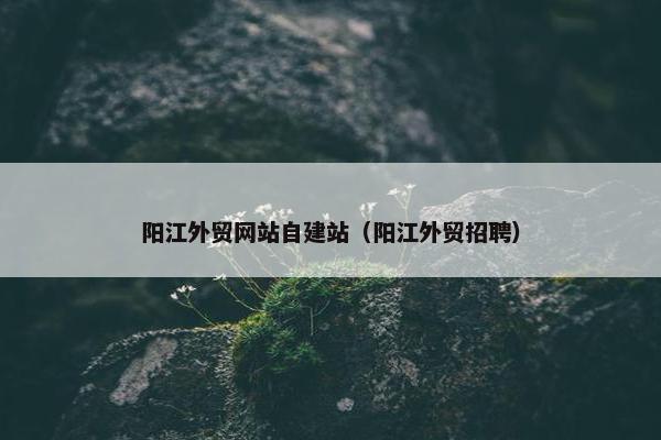 阳江外贸网站自建站（阳江外贸招聘）-第1张图片-冷动云