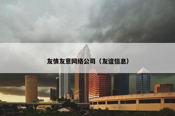 友情友意网络公司（友谊信息）-第1张图片-冷动云