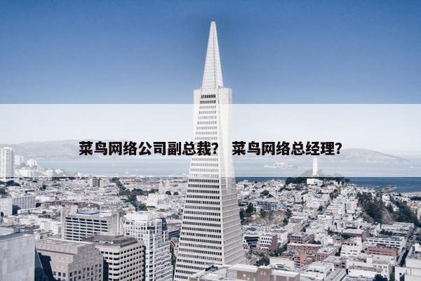 菜鸟网络公司副总裁？ 菜鸟网络总经理？-第1张图片-冷动云