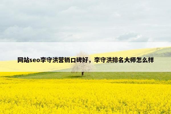 网站seo李守洪营销口碑好，李守洪排名大师怎么样-第1张图片-冷动云