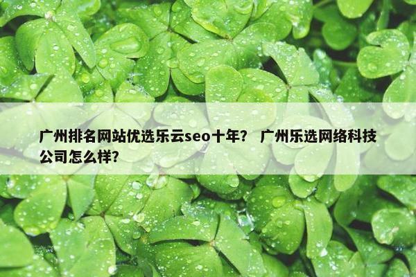 广州排名网站优选乐云seo十年？ 广州乐选网络科技公司怎么样？-第1张图片-冷动云