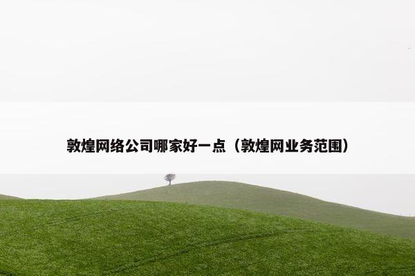 敦煌网络公司哪家好一点（敦煌网业务范围）-第1张图片-冷动云