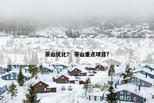 茶山优化？ 茶山重点项目？-第1张图片-冷动云