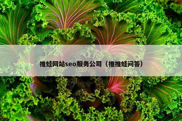推蛙网站seo服务公司（推推蛙问答）-第1张图片-冷动云