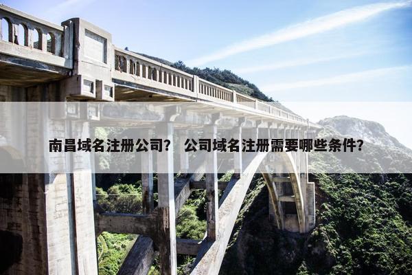南昌域名注册公司？ 公司域名注册需要哪些条件？-第1张图片-冷动云