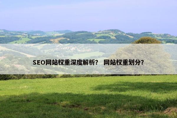 SEO网站权重深度解析？ 网站权重划分？-第1张图片-冷动云