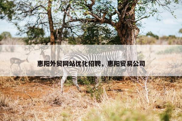 惠阳外贸网站优化招聘，惠阳贸易公司-第1张图片-冷动云