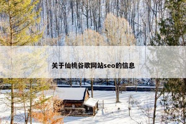 关于仙桃谷歌网站seo的信息-第1张图片-冷动云