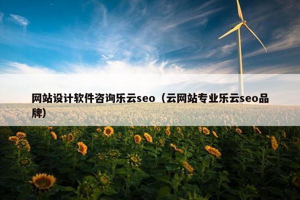 网站设计软件咨询乐云seo（云网站专业乐云seo品牌）-第1张图片-冷动云