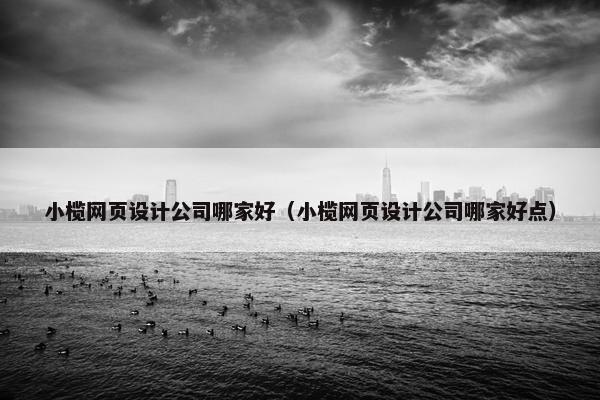 小榄网页设计公司哪家好（小榄网页设计公司哪家好点）-第1张图片-冷动云
