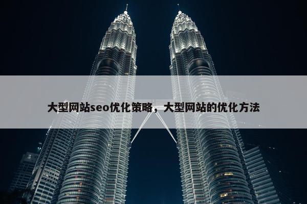 大型网站seo优化策略，大型网站的优化方法-第1张图片-冷动云