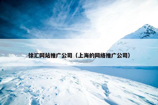 徐汇网站推广公司（上海的网络推广公司）-第1张图片-冷动云