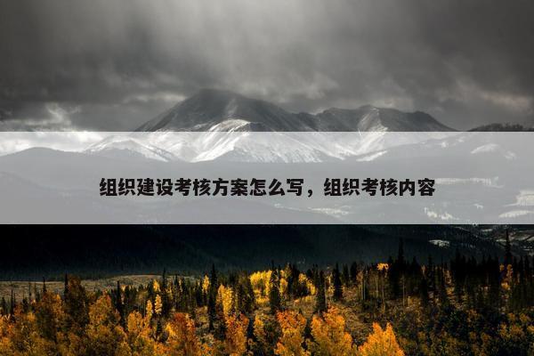组织建设考核方案怎么写，组织考核内容-第1张图片-冷动云